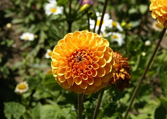 Appartement Idyllische Am Rittermannshagener Faulenrost